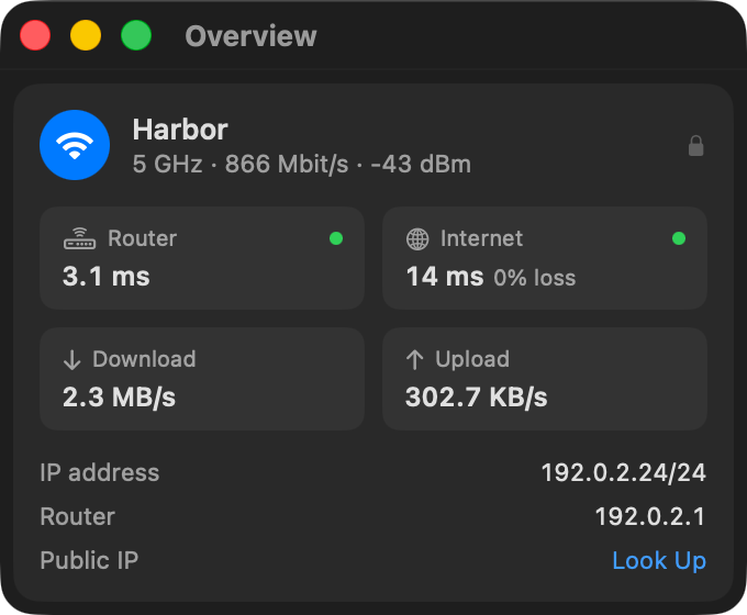 MacNetwork preview render: Panel Tabs: Overview