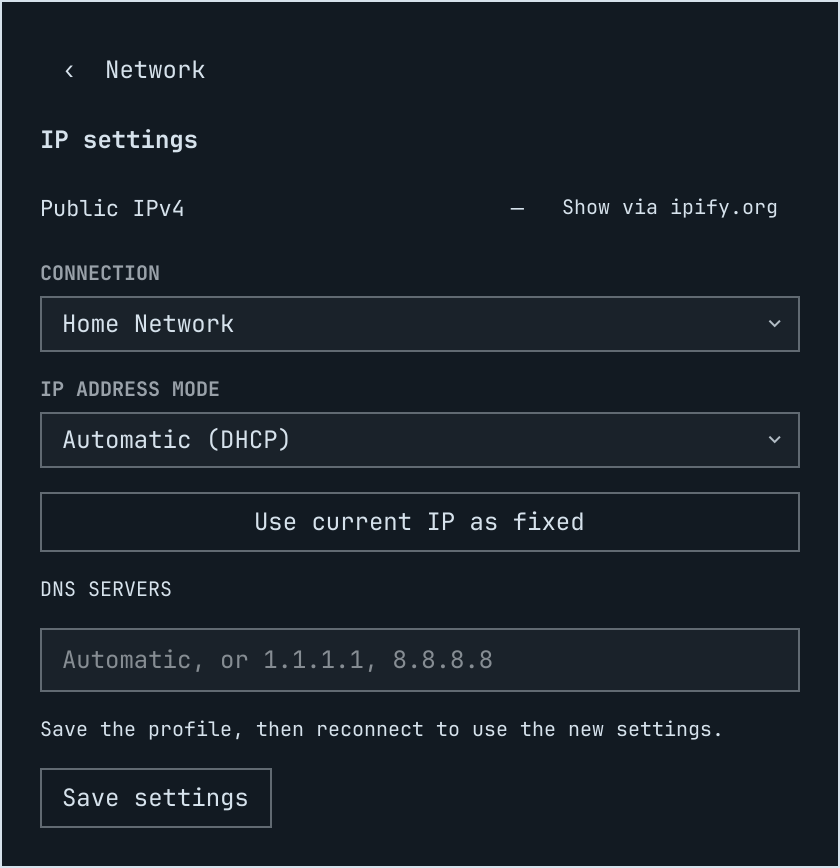 IP settings in DHCP mode with demo data